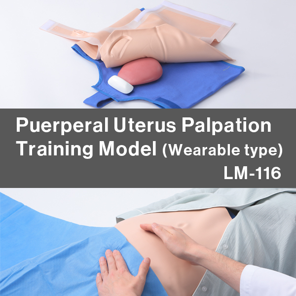 Puerperal Uterus Palpation Training Model (Wearable type)
