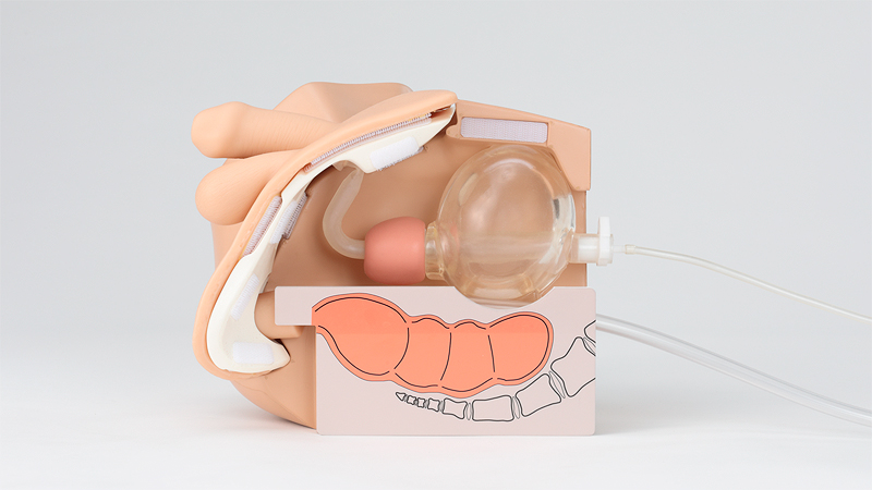 https://www.kokenmpc.co.jp/english/products/educational_medical_models/nursing/image/lm-109m/lm-109m_05.jpg