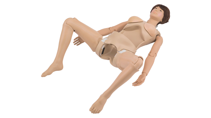 Advanced Childbirth Simulator with fetus placenta for obstetrics Training  Manikin