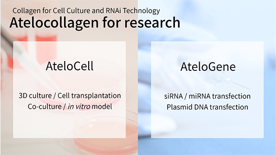 Atelocollagen for Research